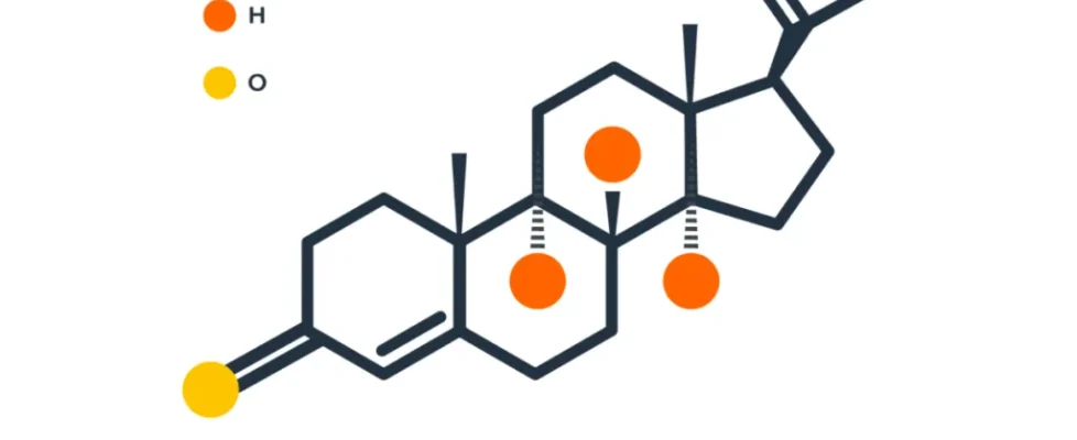 progesterone